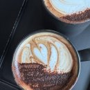 대규미나리 이미지