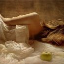 나비환상곡 이미지