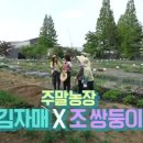 준현농장 이미지