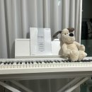 롤랜드 fp30x 구매후기! 🎹