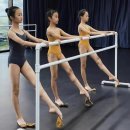 성인 발레스트레칭 이미지