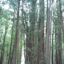 가야마을경로당 이미지