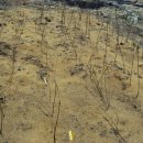 제천농장 이미지