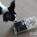 백봉목장 이미지