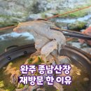 종남산장 | 다시 방문한 완주 종남산장 또 다녀온 후기