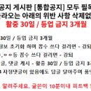 털장군 중성화수술 맡기고 왔는데 잠복고환이래 이거 위험해? 이미지