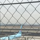 GS25 서산동문현대 | 탐라국탐험일지