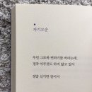 용호리 이미지
