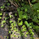 강하우체국 | [5월 베트남] 호치민 4일차: 요정의샘 / 호치민 이마트 / 아마이(Amai) / 위켄드(WKND) 🤍