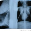 영동동물병원 이미지