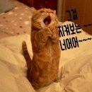 유리의성 이미지