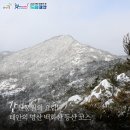 🌲강산풍월의 요람!🌲 태안의 명산 백화산 등산 이미지