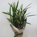 신탄진농협 주유소 이미지