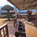 청도강변돌고래펜션 | 가성비 좋은 단체펜션 자연이 가득한 힐링 펜션 [청도강변돌고래펜션]