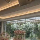 강서로(서측) | 밝은 홀 러버의 베뉴 투어