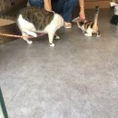 재욱 팜 | 아가리 다이어터의 일지