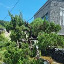 구산초등학교구서분교장 이미지