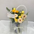 복자네꽃실