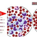 천잠식품 이미지