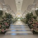 라온제나 이미지