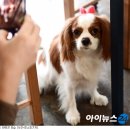 새벽