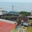 고등어회결사 이미지