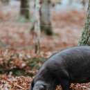 영미농장 이미지