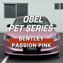강남랩핑 테슬라 랩핑 OBEL BENTLEY PASSION PINK 벤틀리 패션 핑크 후기