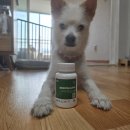 (주)이엘티사이언스 이미지