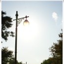 이미순「달」 | [20091010]제8회 서울억새축제(월드컵공원 內 하늘공원) 개막행사 - 1부