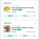 후리지아 | [내돈내산]꽃님이닷컴 후리지아 구매 후기