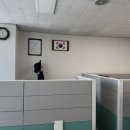 오산경찰서 | 오산경찰서 부분도배 합지 시공 후기^^