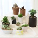 에이원컴퍼니 이미지