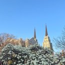 계산성당 앞 | 대구 목련 스팟 추천ㅣ청라언덕 계산성당 목련 포토존 후기!(3월 22일 개화현황, 주차장 위치)