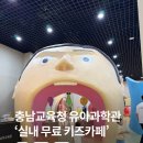 천안교육청 | 아산 키즈카페 충남교육청 유아과학관 실내 무료 놀이터