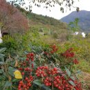 아젤리아 펜션 이미지