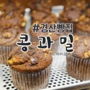 콩과밀 네이버블로그