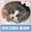 24시 글로리 동물병원 이미지