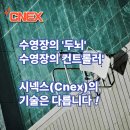 시넥스