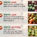 대저 짭짤한 토마토 5kg 판매합니다. 무료배송 이미지