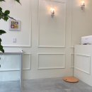 조아펫살롱 이미지