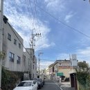 호돌이만두 이미지