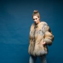 대동콜렉션 이미지