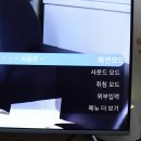 이스트라대구 이미지