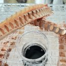 상어네 간식 이미지