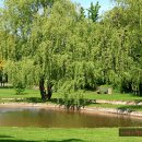 참빌이네 농장 이미지