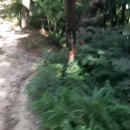 산책길-1 이미지