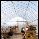 보물하우스 이미지