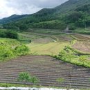 횡천면사무소 이미지