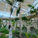 현성농장 | 서울 근교 6월 가볼만한곳 수원 화홍문 공영주차장 탑동시민농장 꽃구경